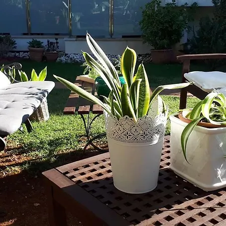 公寓 别墅度假i​​i号公寓 普拉